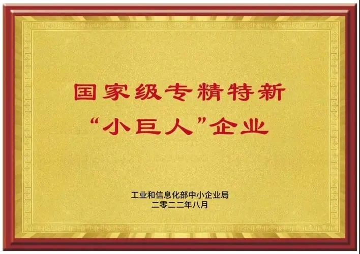 专精特新小巨人